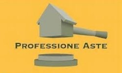 Professione Aste Sede Torino via TUNISI 108 Torino