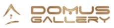 DOMUS GALLERY SAS
