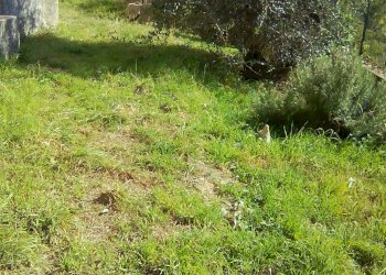 Villetta VIA DEI MAGGIOLO 24, frazione Sant'andrea Di Foggia, Rapallo - foto 2