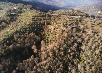 Agricultural land Via di Moncioni, hamlet Moncioni, Montevarchi - photo 1