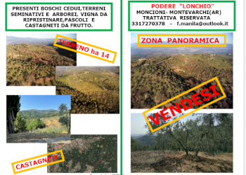 Agricultural land Via di Moncioni, hamlet Moncioni, Montevarchi - photo 5