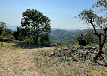 Agricultural land Via di Moncioni, hamlet Moncioni, Montevarchi - photo 4