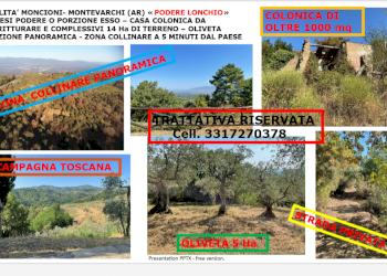 Agricultural land Via di Moncioni, hamlet Moncioni, Montevarchi - photo 6