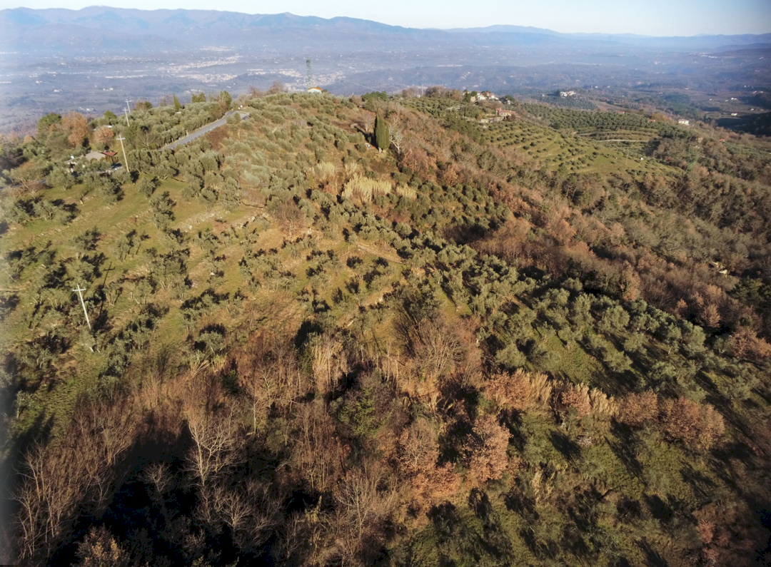 Terreno agricolo Via di Moncioni, frazione Moncioni, Montevarchi - planimetria 1