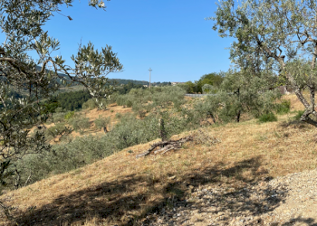 Agricultural land Via di Moncioni, hamlet Moncioni, Montevarchi - photo 8