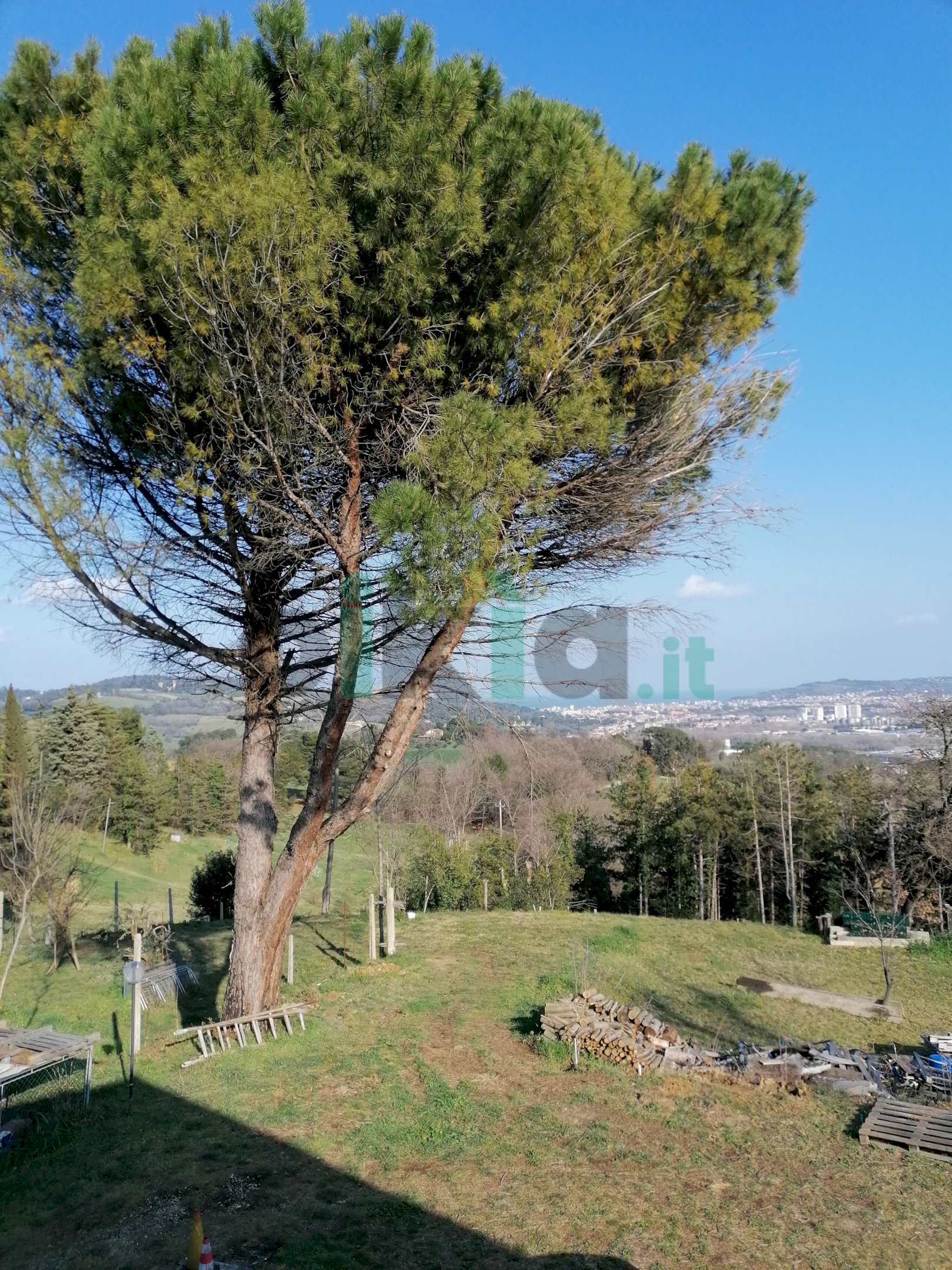 Small Villa strada della torraccia 17/3, hamlet Località Torraccia, Pesaro - photo 2