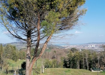 Small Villa strada della torraccia 17/3, hamlet Località Torraccia, Pesaro - photo 2