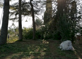 Small Villa strada della torraccia 17/3, hamlet Località Torraccia, Pesaro - photo 6