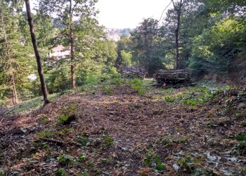 Terreno agricolo via villanovetta , Verzuolo - foto 1