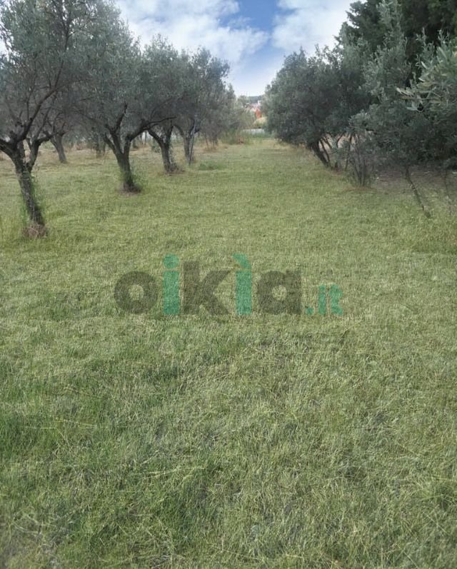Agricultural land Via Piani di bella, hamlet Davoli Marina, Davoli - photo 3