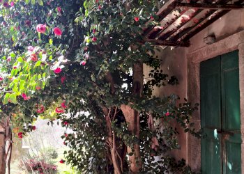 Casa indipendente Chiavari - foto 13