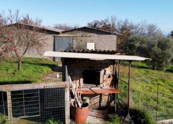 Casa indipendente Graffignano - foto 5