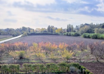 Terreno agricolo Via del fontanile di mezzaluna , 171, frazione Maccarese, Fiumicino - foto 1