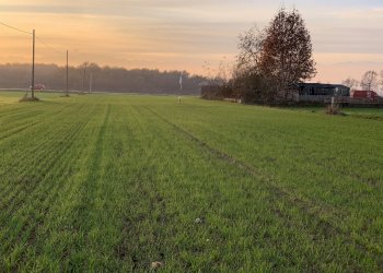 Terreno agricolo frazione Barauda, La Loggia - foto 1