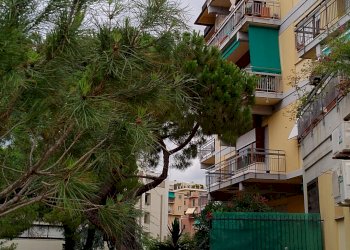 Trilocale mayorana, Genova (zona Quinto) - foto 4