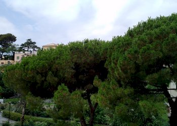Trilocale mayorana, Genova (zona Quinto) - foto 22