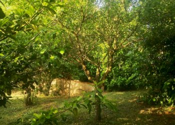 Villa Monteleone di Puglia - foto 13