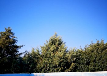 Villa Monteleone di Puglia - foto 23