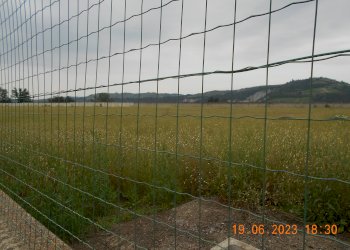 Terreno industriale CORSO VITTORIO OLCESE, Clavesana - foto 9