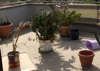 Attico Via Ildebrando della Giovanna , Roma (zona Casal Palocco) - foto 6