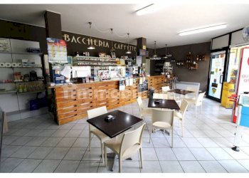 Bar - Tabacchi - Ricevitoria Corso asti, frazione Magliano, Alba - foto 1