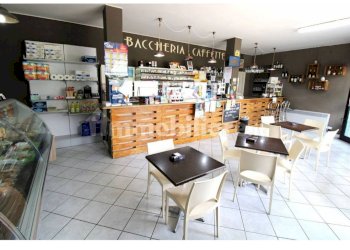 Bar - Tabacchi - Ricevitoria Corso asti, frazione Magliano, Alba - foto 4