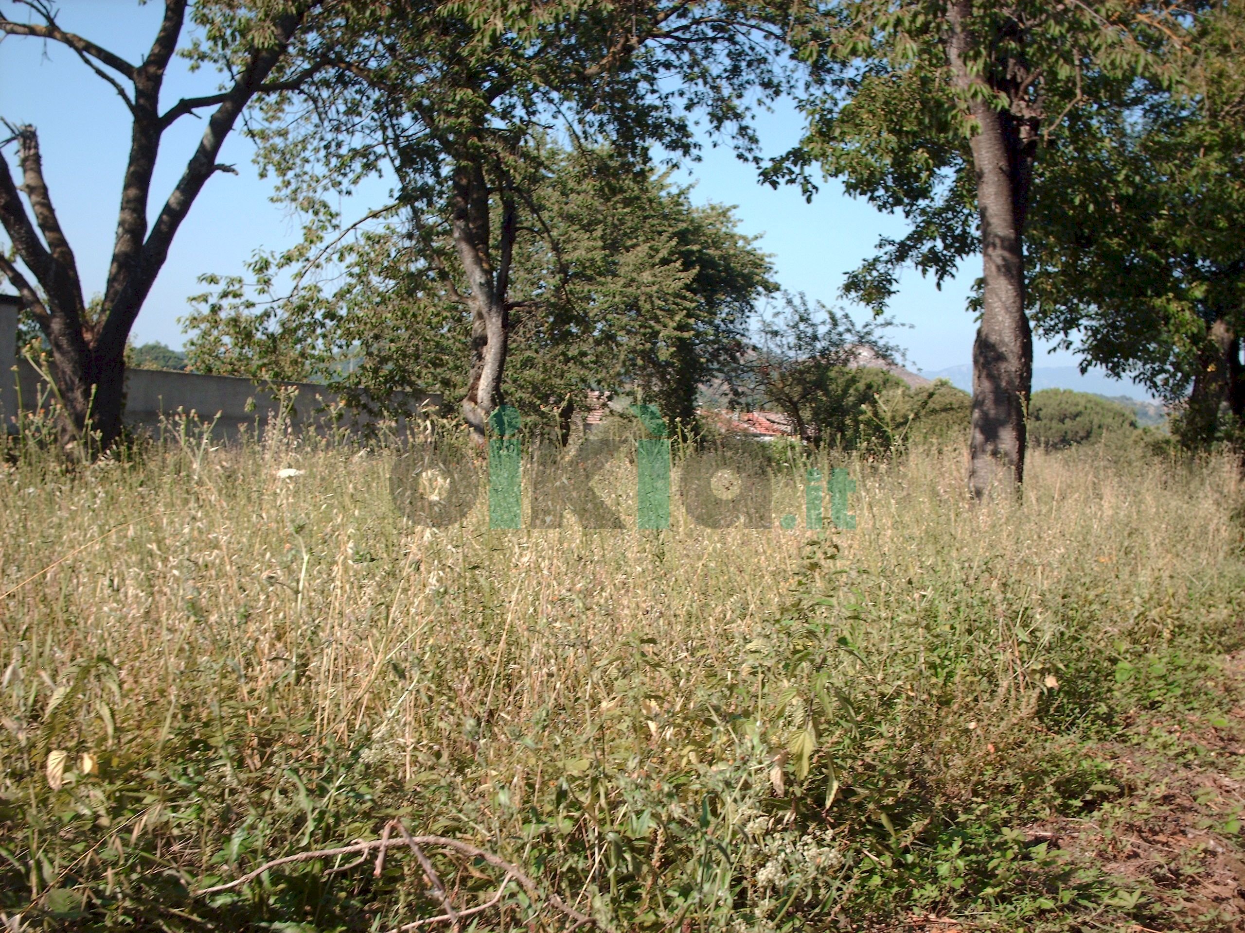Terreno agricolo via Rapugliano 27, frazione Casola, Caserta - foto 2
