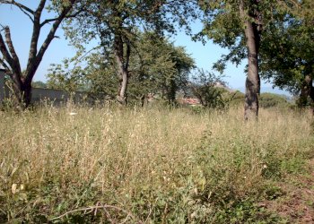 Agricultural land via Rapugliano 27, hamlet Casola, Caserta - photo 2