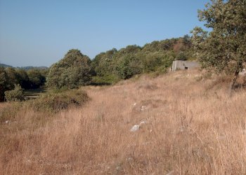 Agricultural land via Rapugliano 27, hamlet Casola, Caserta - photo 4