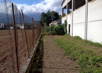 Capannone Via Guglielmo Marconi 8 , Roletto - foto 17