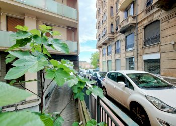 Three-room apartment Santorre di Santarosa 6, Savona - photo 2