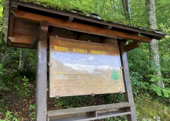 Bilocale via del Sestaione 145, Abetone Cutigliano - foto 15