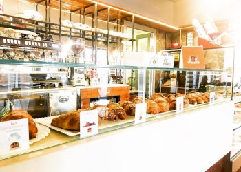 Commercial Activity Saluzzo - photo 1