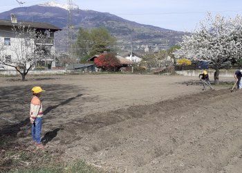 Terreno residenziale Frazione Plan Felinaz, frazione Plan De Félinaz, Charvensod - foto 1