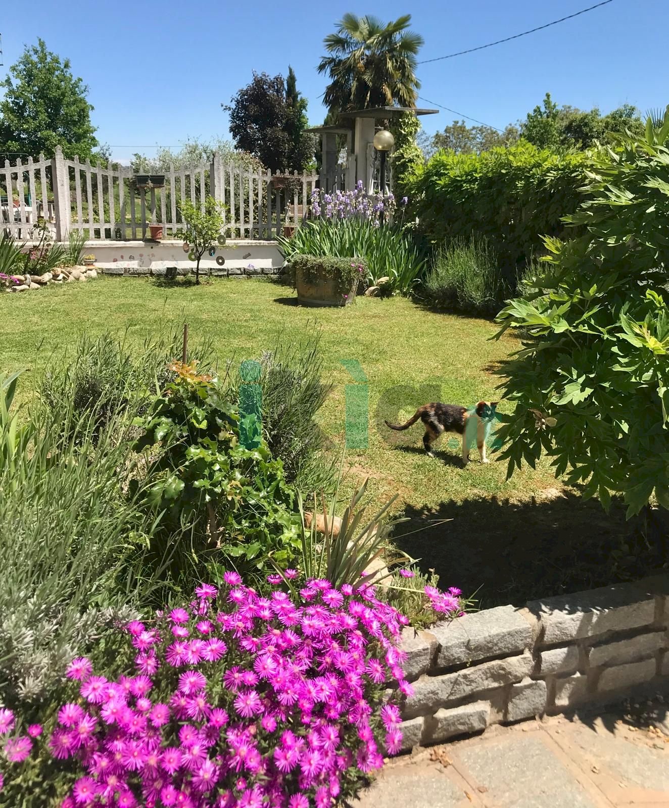 Terraced Villa San Damiano d'Asti - photo 1