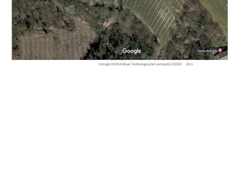 Vigneto frazione sant ambrogio, Incisa Scapaccino - foto 2