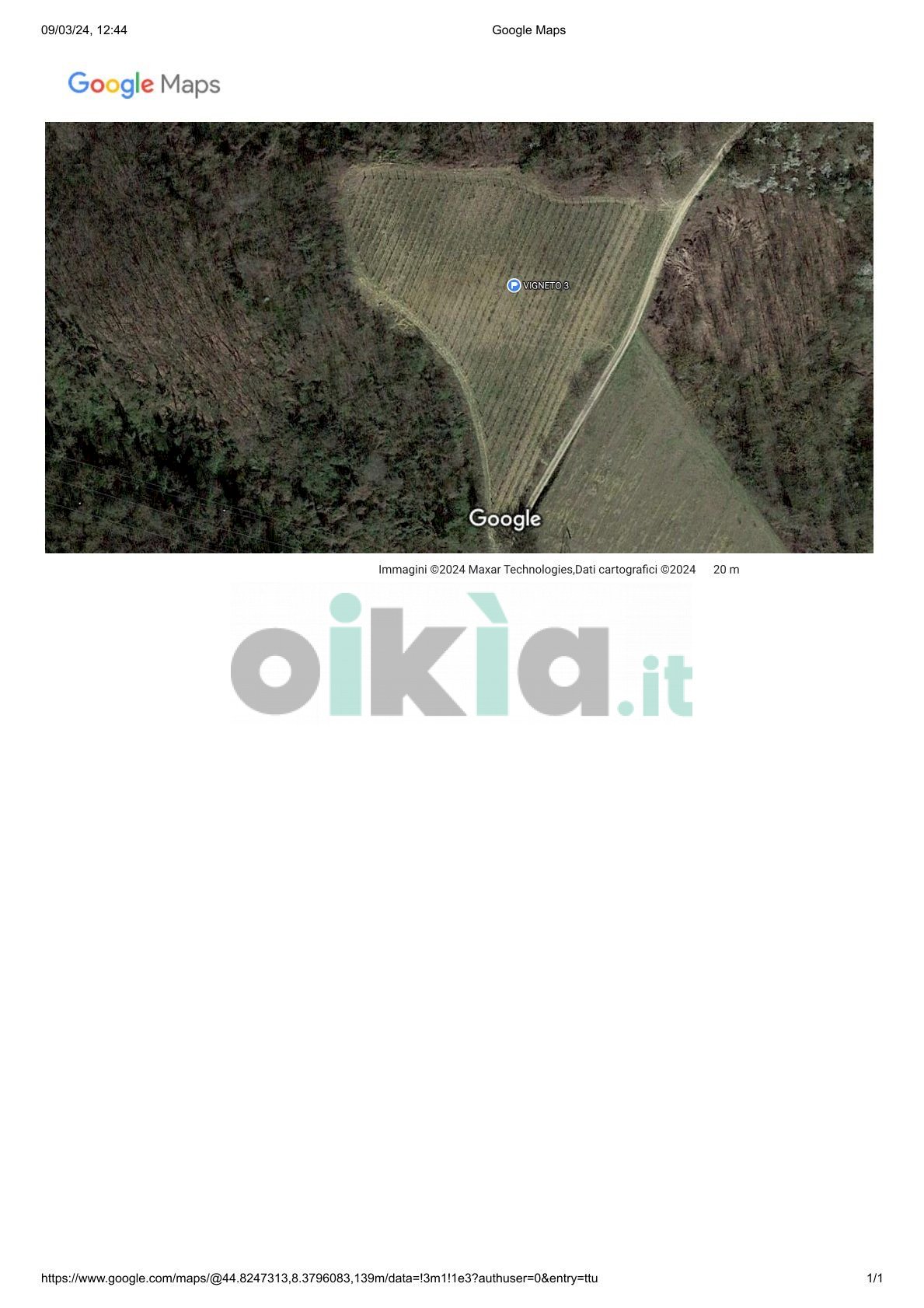Vigneto frazione sant ambrogio, Incisa Scapaccino - foto 3