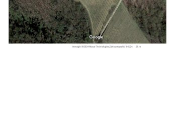 Vigneto frazione sant ambrogio, Incisa Scapaccino - foto 3