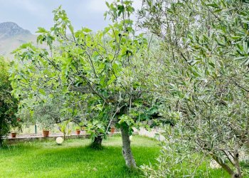Casa per ferie via piano sperone, Altavilla Milicia - foto 16