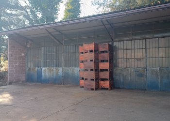 Capannone via Pasubio, frazione Crugnola, Mornago - foto 7