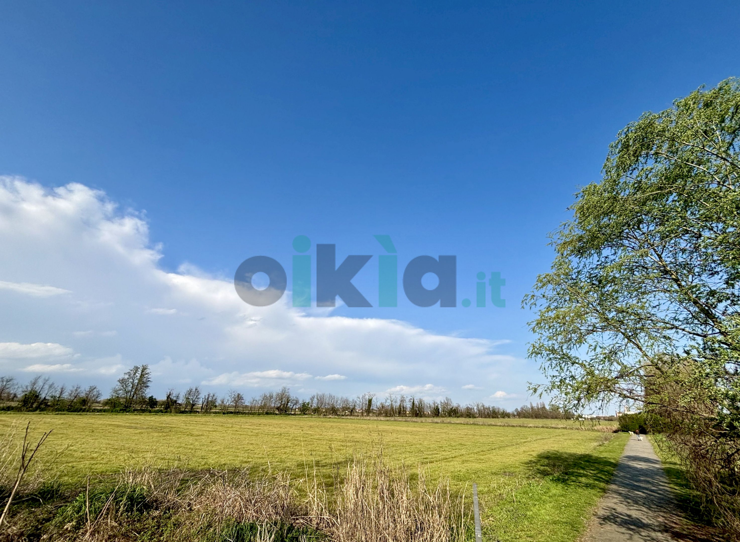 Terreno agricolo Viale Certosa, Certosa di Pavia - foto 3