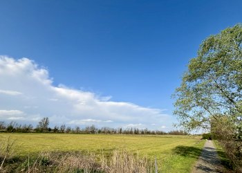 Terreno agricolo Viale Certosa, Certosa di Pavia - foto 3