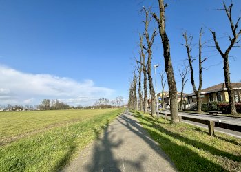 Terreno agricolo Viale Certosa, Certosa di Pavia - foto 4