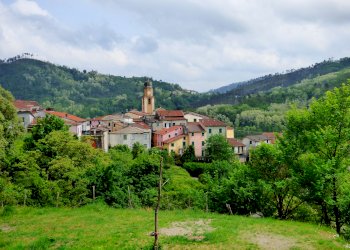 Trilocale Carrodano - foto 11