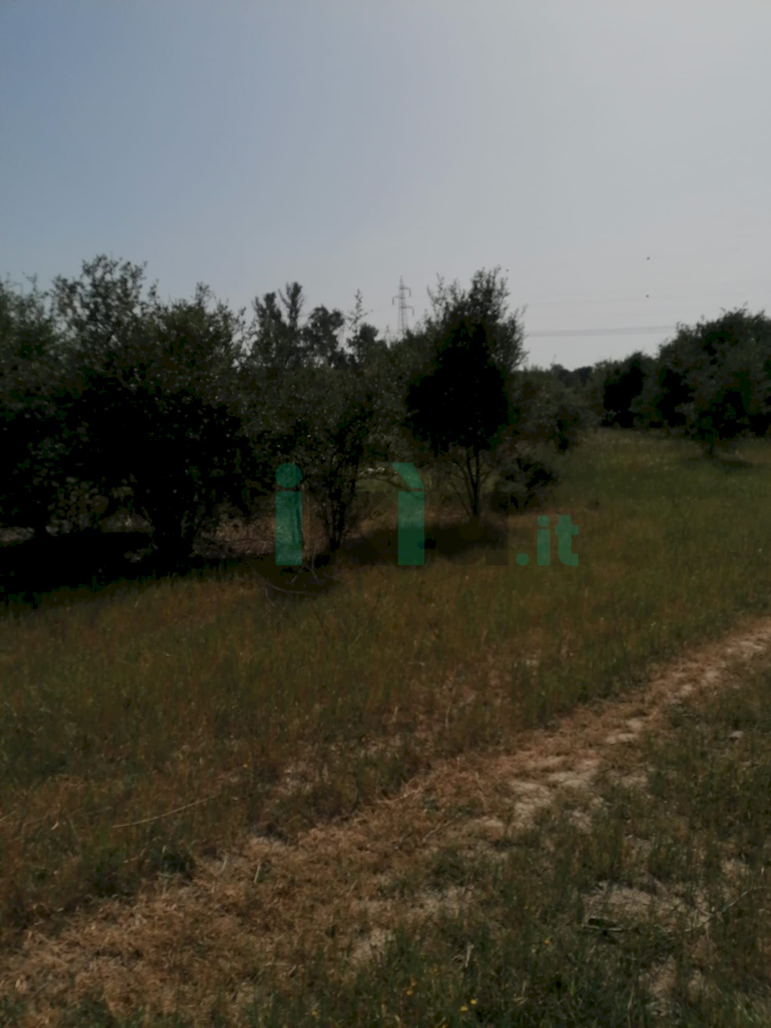Terreno agricolo Via Giudicessa Eleonora, Elmas - foto 1