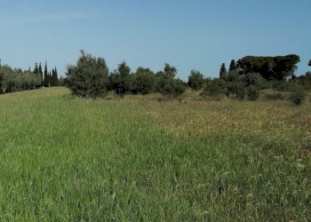 Terreno agricolo Via Giudicessa Eleonora, Elmas - foto 2