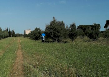 Terreno agricolo Via Giudicessa Eleonora, Elmas - foto 3