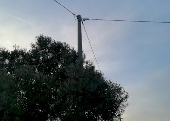 Terreno agricolo Via Giudicessa Eleonora, Elmas - foto 5