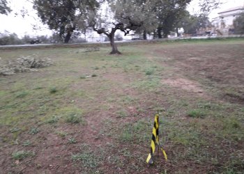 Terreno edificabile Via Faresi, Cepagatti - foto 10