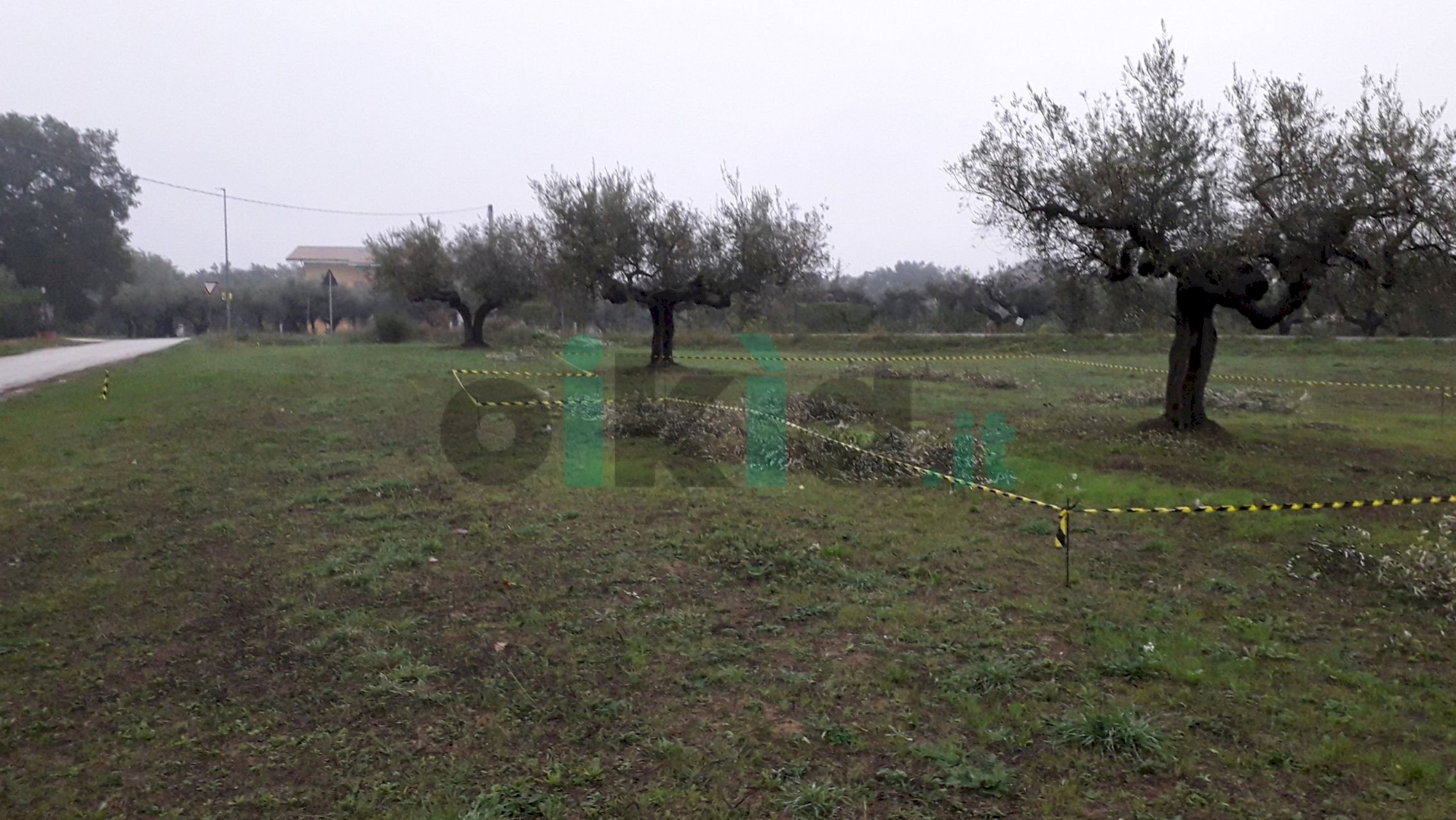 Building land Via Faresi, Cepagatti - photo 1